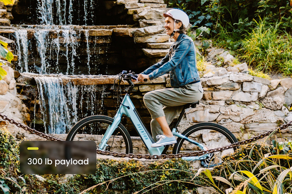 Pace 500.3 Step-Through Ebike