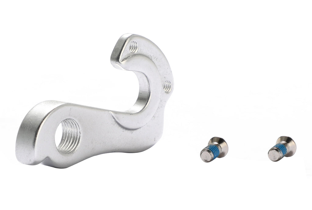 Aventon Derailleur Hanger