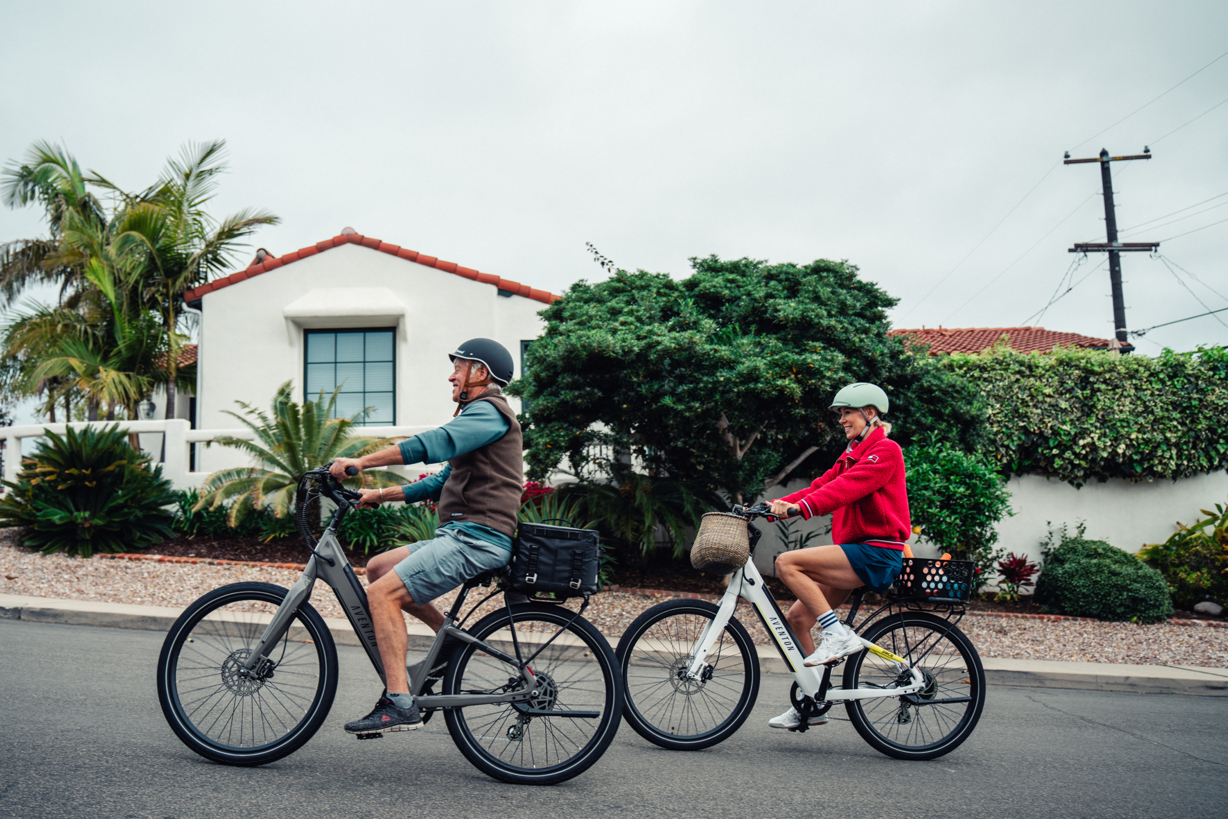 Pace 500.3 Step-Through Ebike