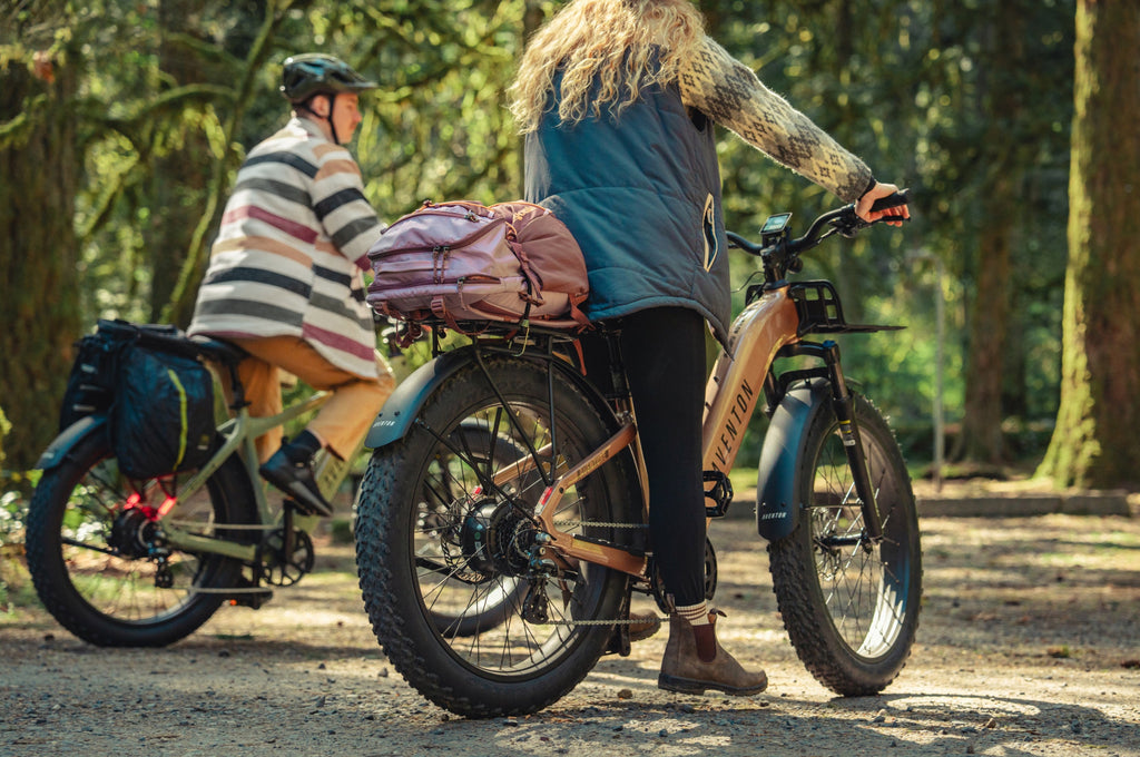 Aventure 3 Step-Through Ebike